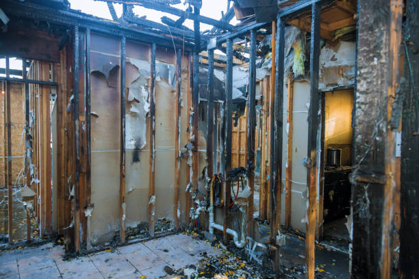 Professional Smoke Damage Restoration technician working in Hanover, MD